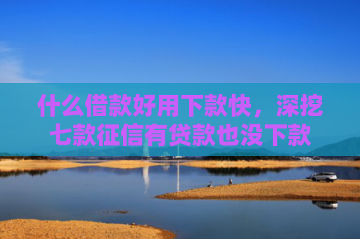 什么借款好用下款快，深挖七款征信有贷款也没下款