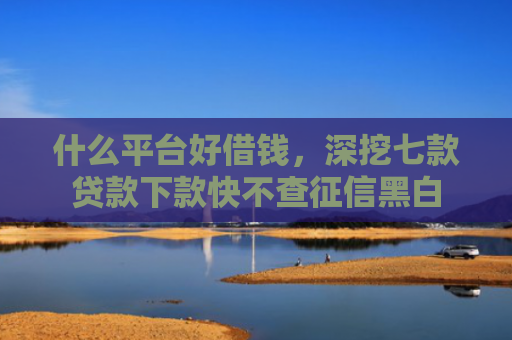 什么平台好借钱，深挖七款贷款下款快不查征信黑白