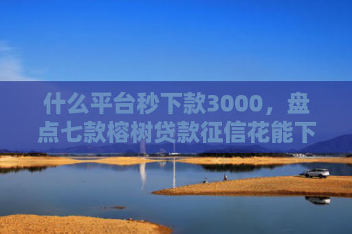 什么平台秒下款3000，盘点七款榕树贷款征信花能下款吗