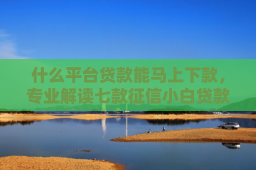 什么平台贷款能马上下款，专业解读七款征信小白贷款容易下款吗