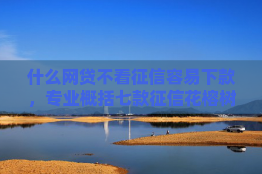 什么网贷不看征信容易下款，专业概括七款征信花榕树贷款能下款吗