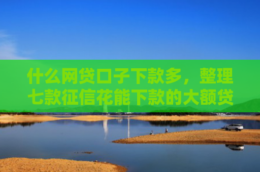 什么网贷口子下款多，整理七款征信花能下款的大额贷款