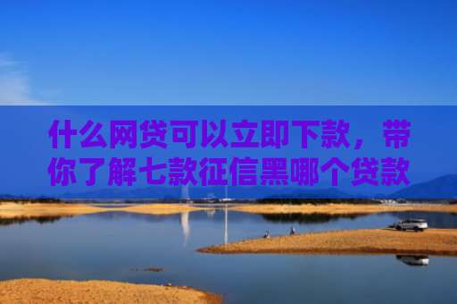 什么网贷可以立即下款，带你了解七款征信黑哪个贷款好下款