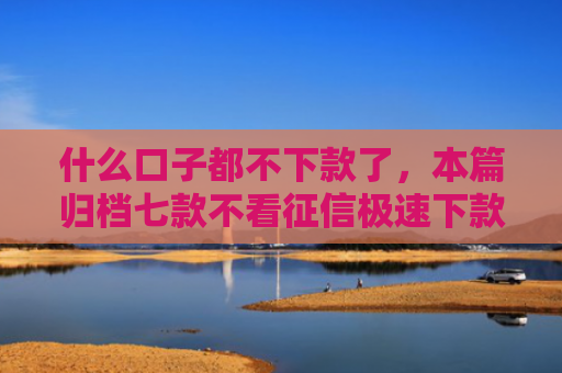 什么口子都不下款了，本篇归档七款不看征信极速下款的贷款