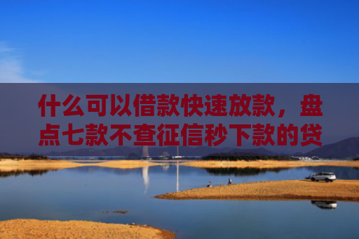 什么可以借款快速放款，盘点七款不查征信秒下款的贷款