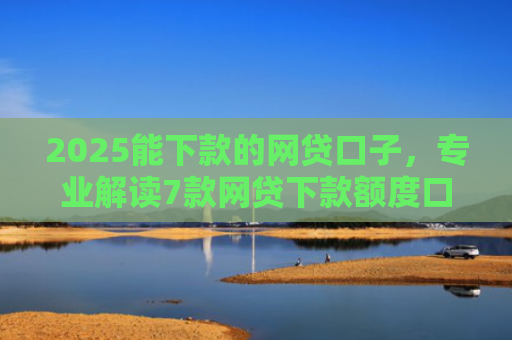 2025能下款的网贷口子，专业解读7款网贷下款额度口子
