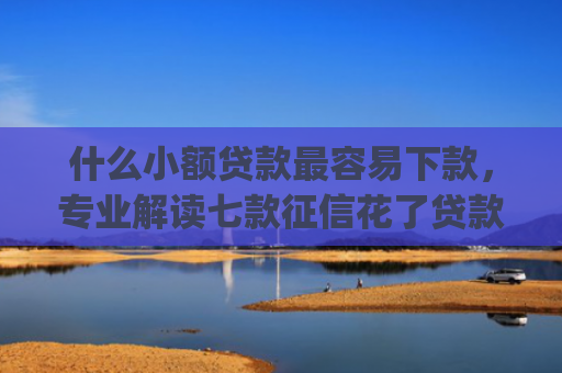 什么小额贷款最容易下款，专业解读七款征信花了贷款好下款的app