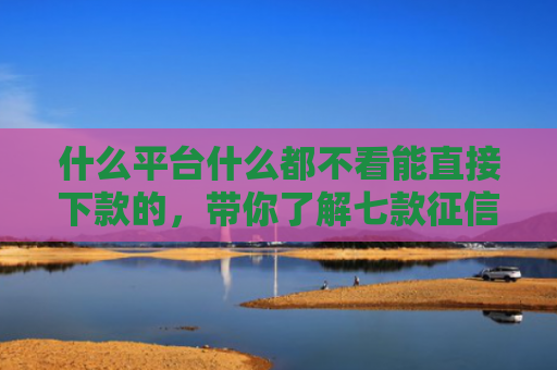 什么平台什么都不看能直接下款的，带你了解七款征信不好也能下款的贷款
