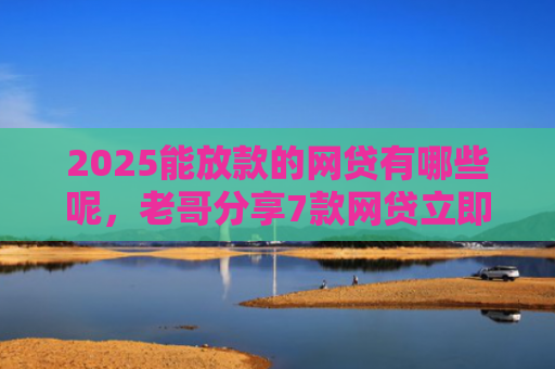 2025能放款的网贷有哪些呢，老哥分享7款网贷立即下款的口子