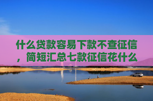 什么贷款容易下款不查征信，简短汇总七款征信花什么贷款好下款