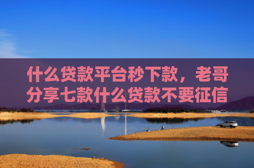 什么贷款平台秒下款，老哥分享七款什么贷款不要征信下款快