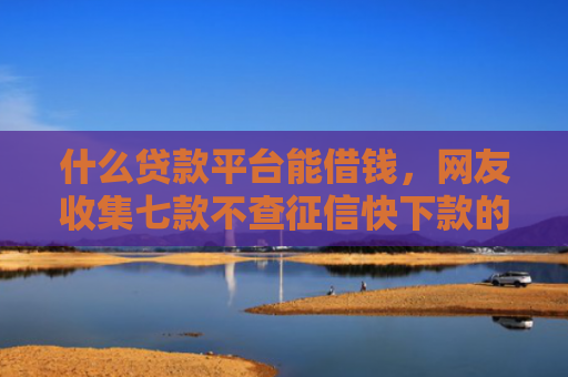 什么贷款平台能借钱，网友收集七款不查征信快下款的贷款