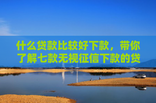 什么贷款比较好下款，带你了解七款无视征信下款的贷款
