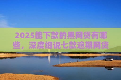 2025能下款的黑网贷有哪些，深度细说七款逾期网贷下款贷款口子