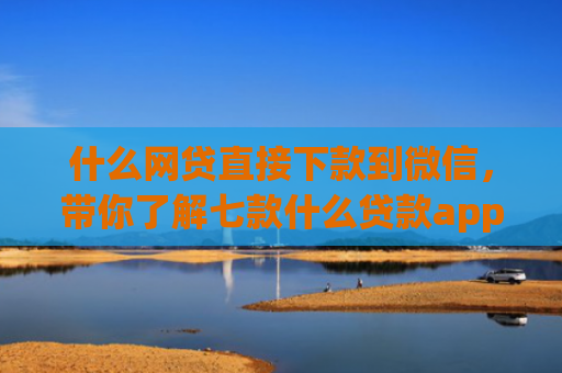 什么网贷直接下款到微信，带你了解七款什么贷款app 不看征信 下款快