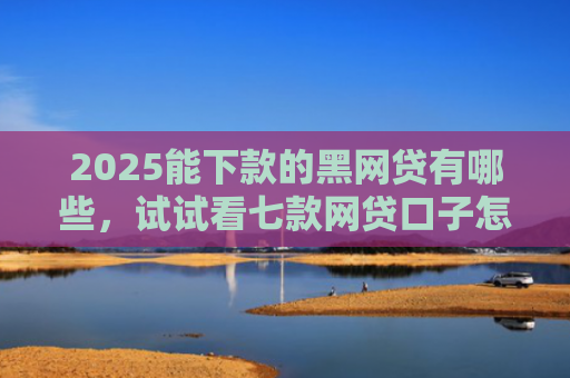 2025能下款的黑网贷有哪些，试试看七款网贷口子怎么好下款
