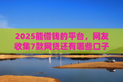 2025能借钱的平台，网友收集7款网贷还有哪些口子下款