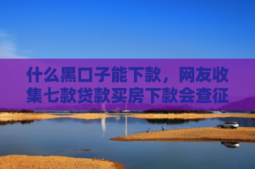 什么黑口子能下款，网友收集七款贷款买房下款会查征信