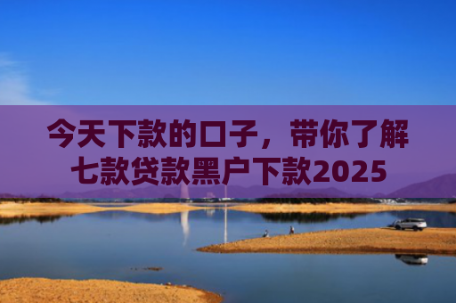 今天下款的口子，带你了解七款贷款黑户下款2025