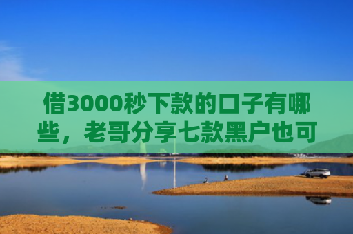 借3000秒下款的口子有哪些，老哥分享七款黑户也可以下款的网贷