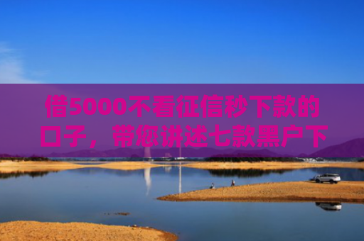 借5000不看征信秒下款的口子，带您讲述七款黑户下款最快的网贷6