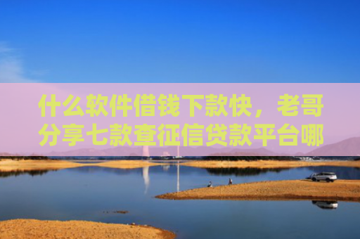 什么软件借钱下款快，老哥分享七款查征信贷款平台哪个好下款