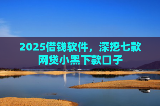 2025借钱软件，深挖七款网贷小黑下款口子