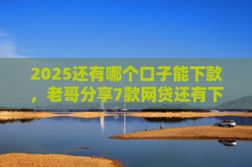 2025还有哪个口子能下款，老哥分享7款网贷还有下款口子吗