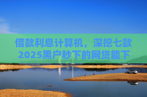 借款利息计算机，深挖七款2025黑户秒下的网贷能下款吗