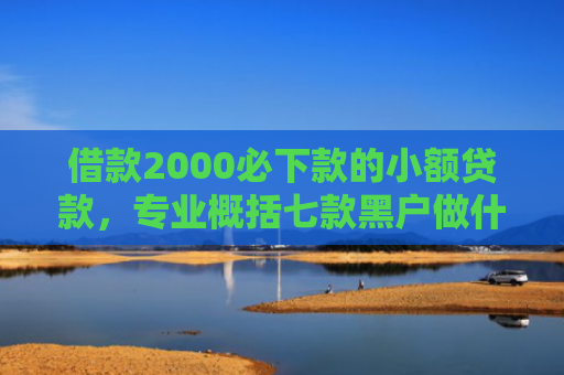 借款2000必下款的小额贷款，专业概括七款黑户做什么网贷能下款啊