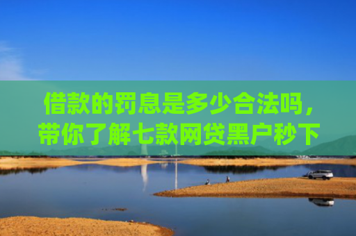 借款的罚息是多少合法吗，带你了解七款网贷黑户秒下款的app2025