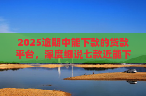 2025逾期中能下款的贷款平台，深度细说七款近能下款的网贷口子
