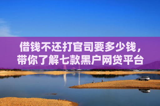借钱不还打官司要多少钱，带你了解七款黑户网贷平台好下款