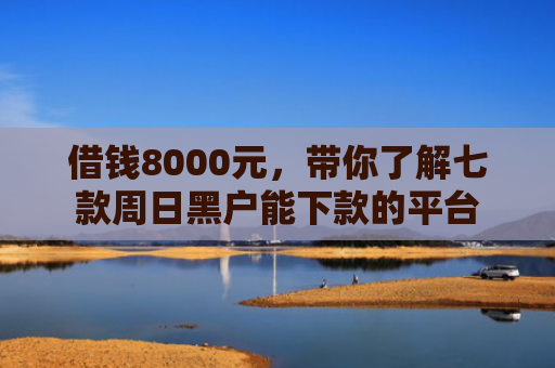借钱8000元，带你了解七款周日黑户能下款的平台
