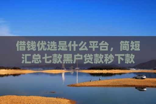 借钱优选是什么平台，简短汇总七款黑户贷款秒下款