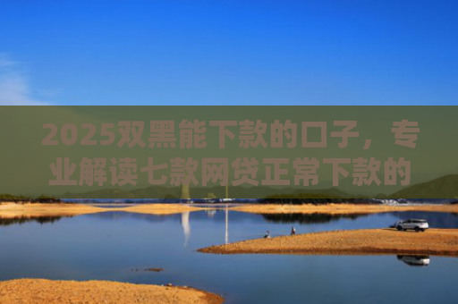 2025双黑能下款的口子，专业解读七款网贷正常下款的老口子