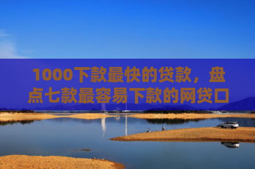 1000下款最快的贷款，盘点七款最容易下款的网贷口子