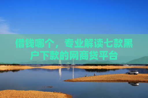 借钱哪个，专业解读七款黑户下款的网商贷平台