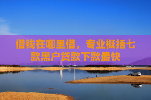 借钱在哪里借，专业概括七款黑户贷款下款最快