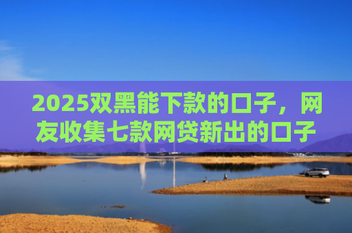 2025双黑能下款的口子，网友收集七款网贷新出的口子秒下款