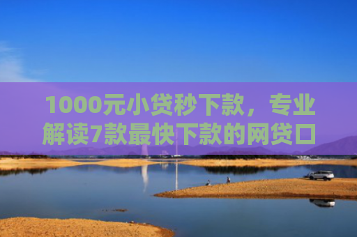1000元小贷秒下款，专业解读7款最快下款的网贷口子