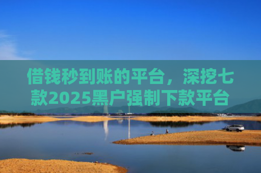 借钱秒到账的平台，深挖七款2025黑户强制下款平台是什么