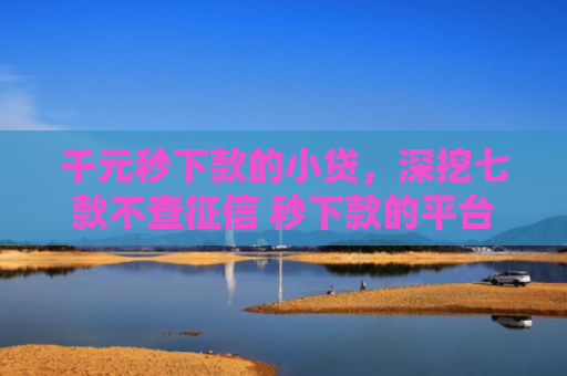 千元秒下款的小贷，深挖七款不查征信 秒下款的平台