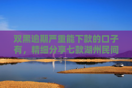 双黑逾期严重能下款的口子有，精细分享七款湖州民间贷款征信不好能下款吗