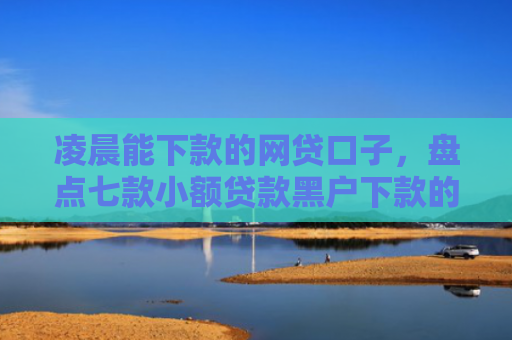 凌晨能下款的网贷口子，盘点七款小额贷款黑户下款的