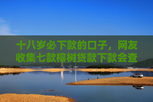 十八岁必下款的口子，网友收集七款榕树贷款下款会查征信吗