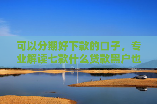 可以分期好下款的口子，专业解读七款什么贷款黑户也能下款
