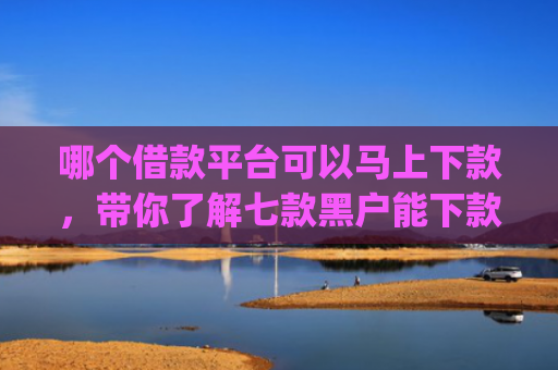 哪个借款平台可以马上下款，带你了解七款黑户能下款的小额贷款app