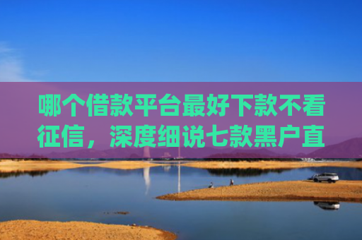 哪个借款平台最好下款不看征信，深度细说七款黑户直接下款的app有哪些