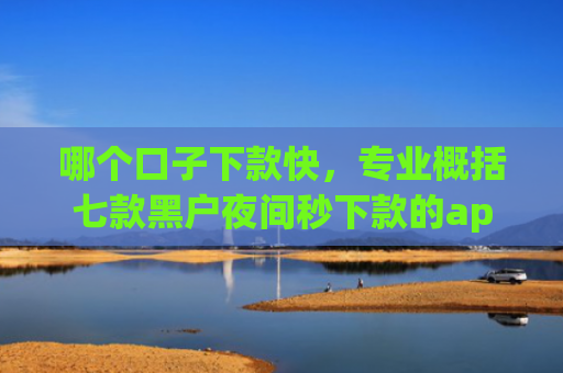 哪个口子下款快，专业概括七款黑户夜间秒下款的app竹叶贷